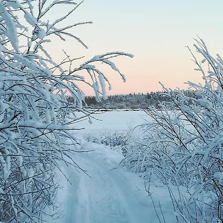 Villa Modern Under The Northern Lights