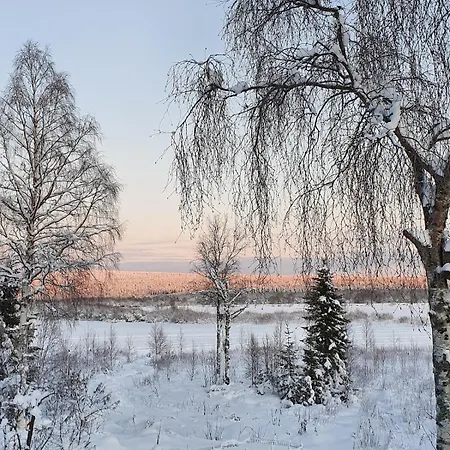 Modern Under The Northern Lights *