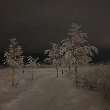 Modern Under The Northern Lights